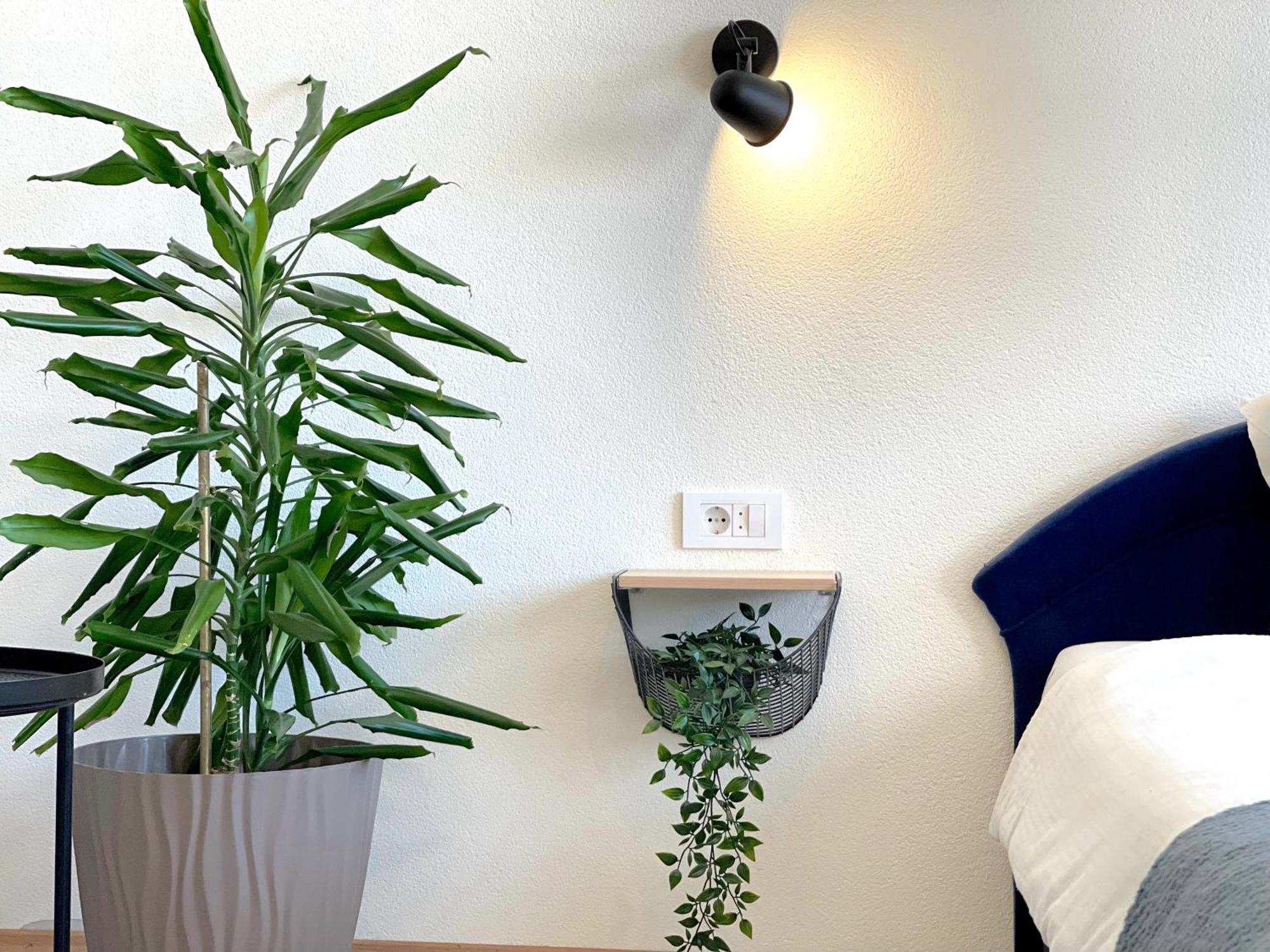 Makedonka Apartments Ochryda Zewnętrze zdjęcie